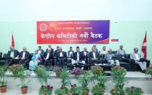 विद्यादेवी भण्डारी राजनीतिमा फर्किन नपाउने एमालेको निर्णय, केही नेताको असहमति