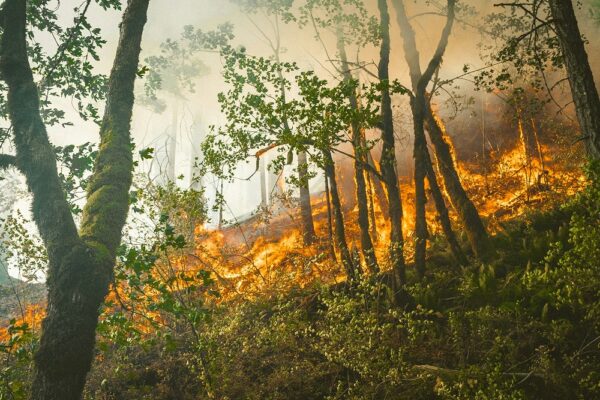 Climate Talks Highlight Urgent Need for Collective Action
