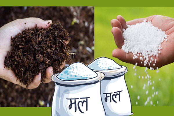 रासायनिक मलको अभाव हुन नदिने प्रतिबद्धता, ५९ अर्ब बजेट जुटाउन चुनौती